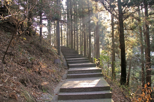 山路