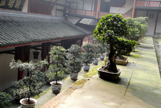 泸州方山旅游区 盆景