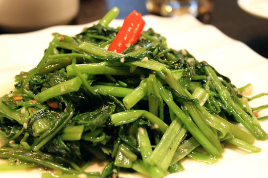 飞天空心菜