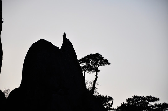 黄山西海大峡谷怪石