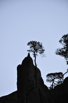 黄山西海大峡谷怪石