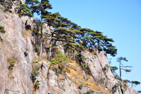 黄山奇石