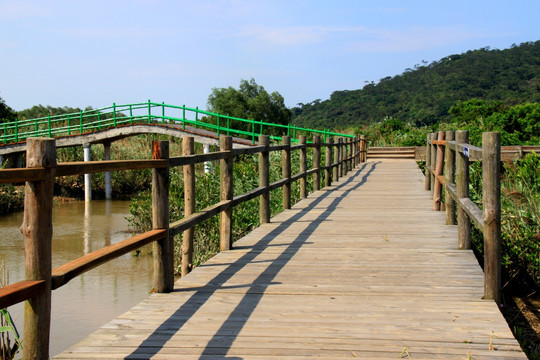小桥流水绿色生态环境