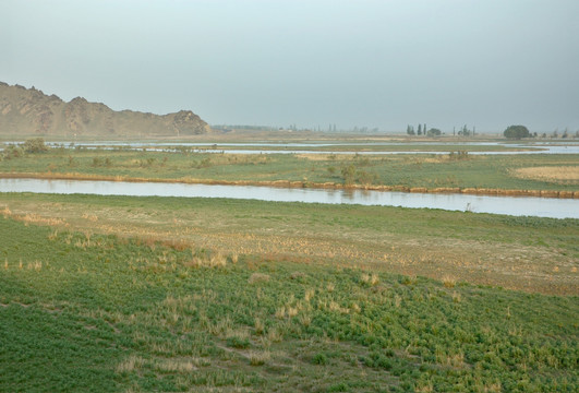 伊犁湿地