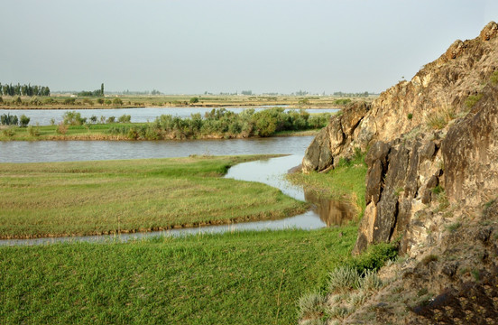 伊犁湿地