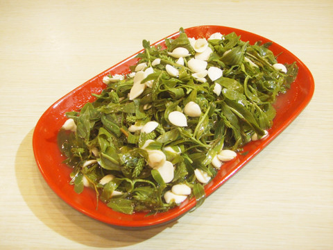豆仁柳絮
