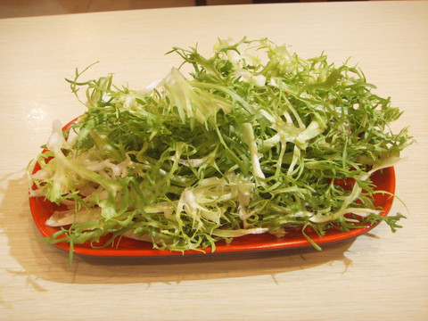 苦菊
