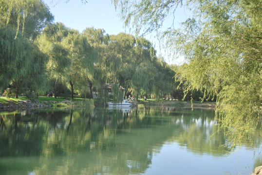 颐和园水景