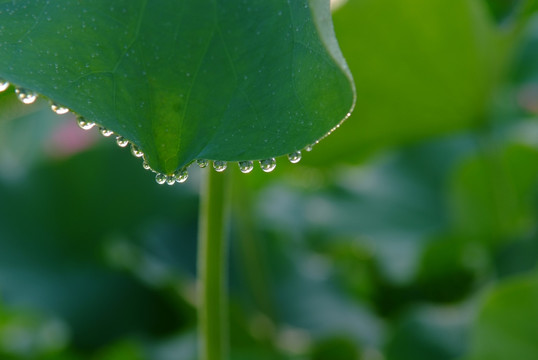 水滴