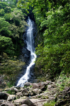 高山流水