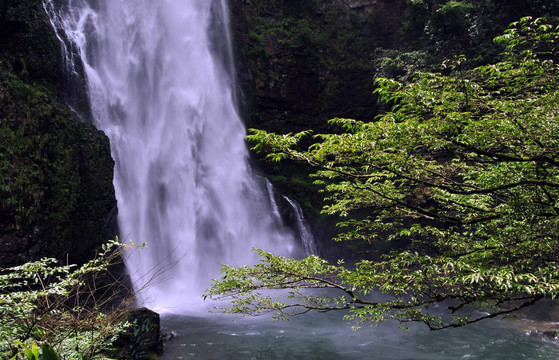 公园风景