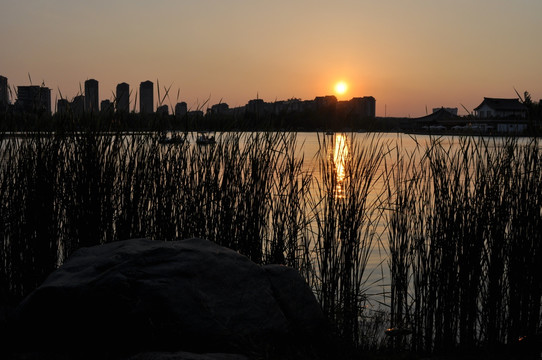 西安南湖夕阳