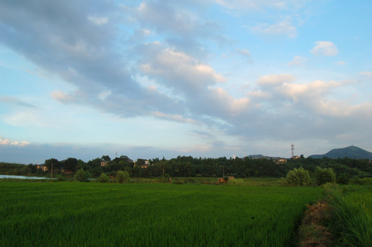 田园风光