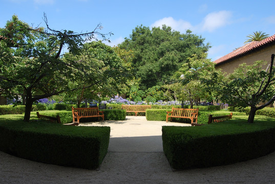 斯坦福大学