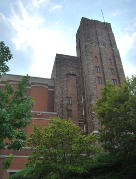 普林斯顿大学
