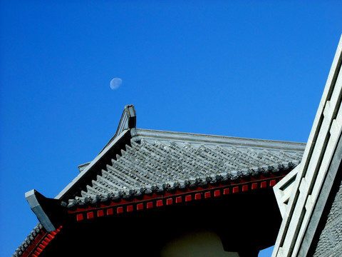 楼阁