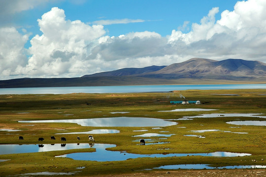 西藏山水风景