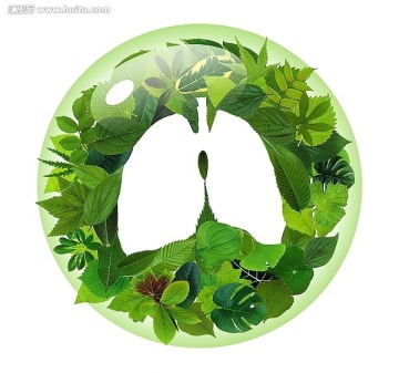 绿肺