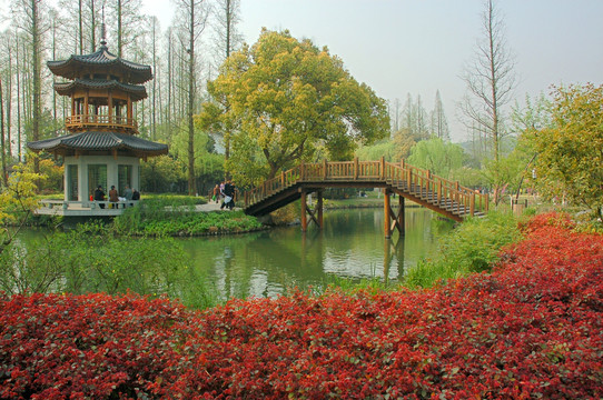 小河木桥