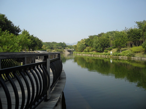 河畔 河边风景 曲桥