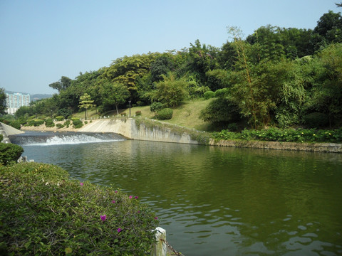 河畔