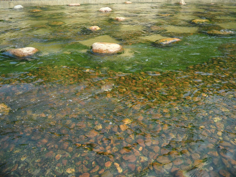 河水 河流