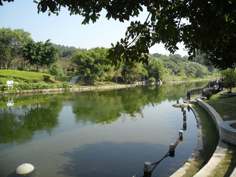 河畔 河边风景