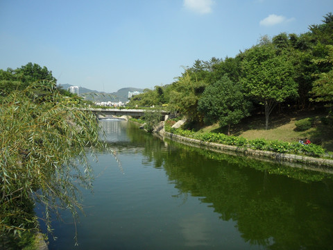 河畔 河边风景