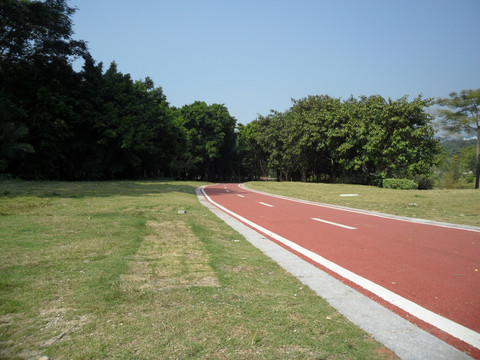 马路