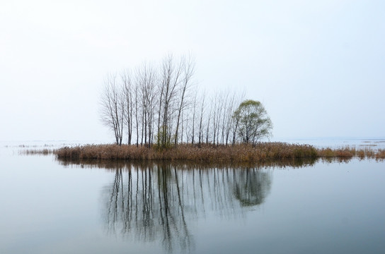 微山湖红荷湿地风光