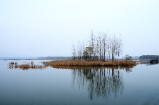 微山湖红荷湿地风光