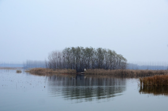 微山湖红荷湿地风光