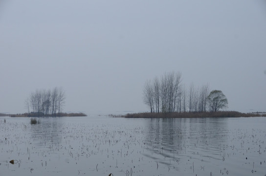 微山湖红荷湿地风光