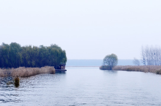 微山湖红荷湿地风光