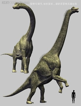 3dmax动物模型 巨臂龙