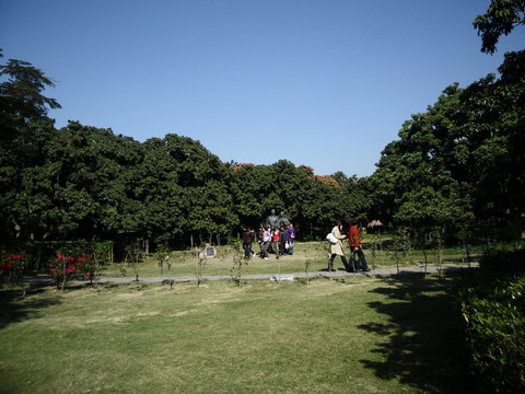 草地 树林