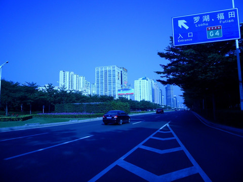 马路 行道树