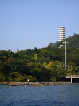 深圳园博园 湖畔 湖水 湖边风景 福塔 路灯