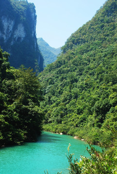 青山绿水