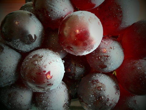 葡萄 红提 水果