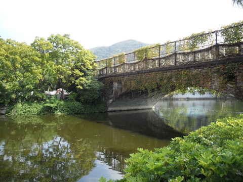 深圳海洋世界 石桥 河畔 河边风景