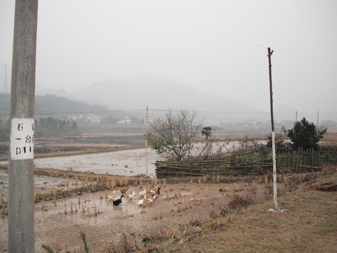 绥宁乡间