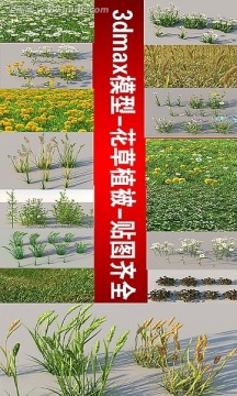 3dmax模型 花草植被