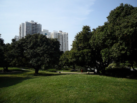 草地 树林 建筑