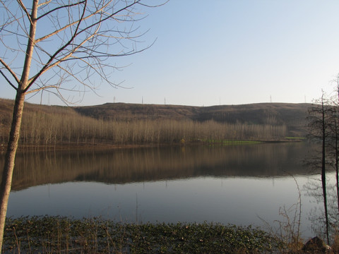 静湖 镜湖 冬季水面