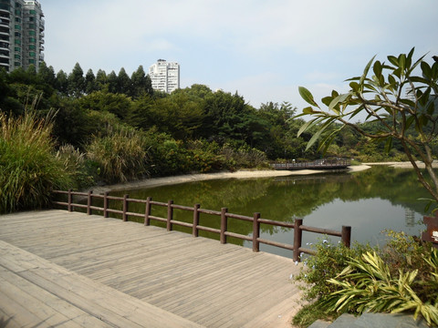 湖畔风景