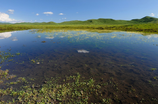 草原小湖泊