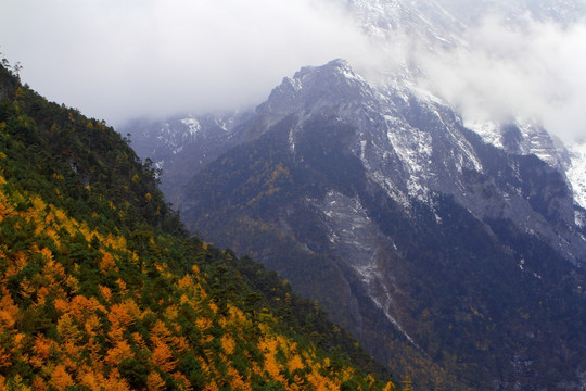 玉龙雪山