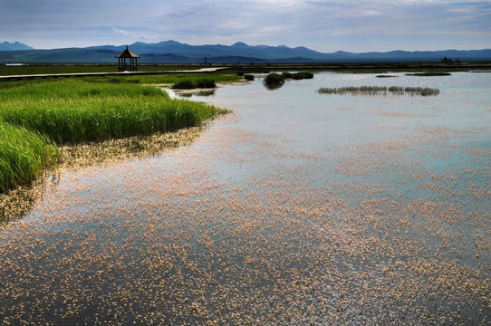 花湖美景