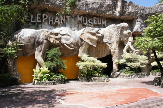大象园 泰国